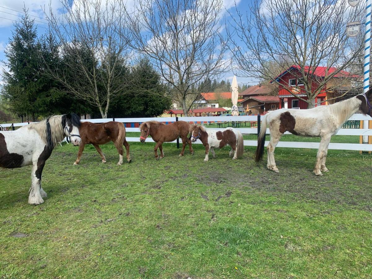 Am Ponyhof Appartement *