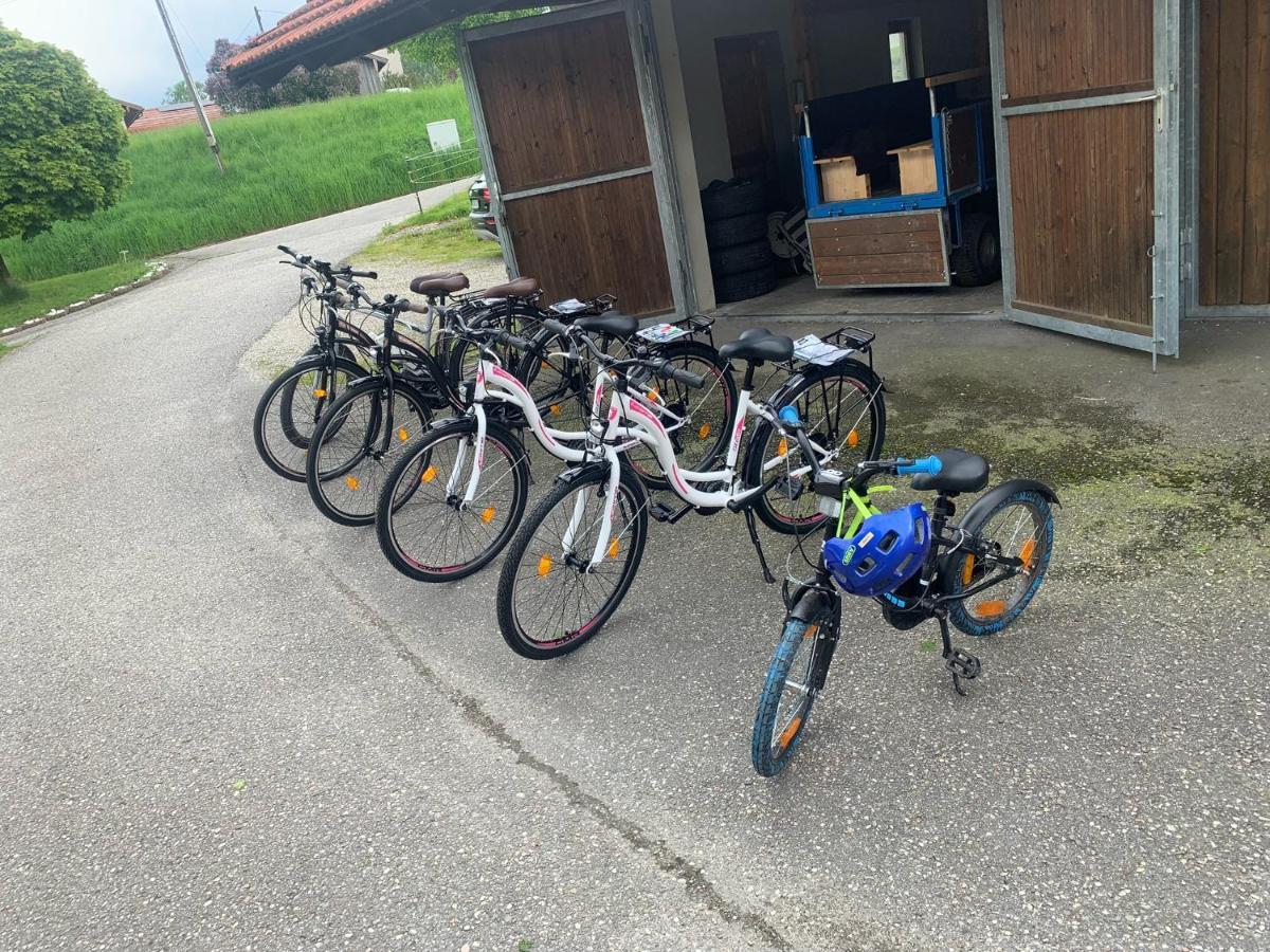 Am Ponyhof