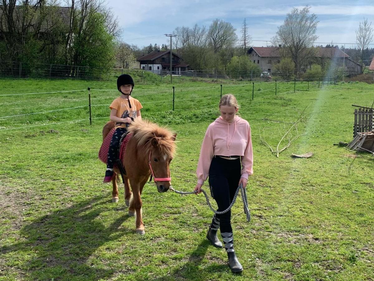 Am Ponyhof * Altötting